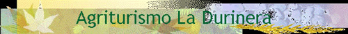 Agriturismo la Durinera
